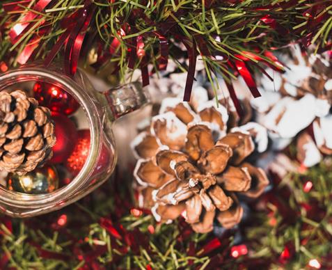 christmas-decoration-pine-cones-bottle